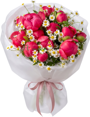 Авторский букет из ярко-розовых пионов и белоснежного танацетума «Летний акцент»
